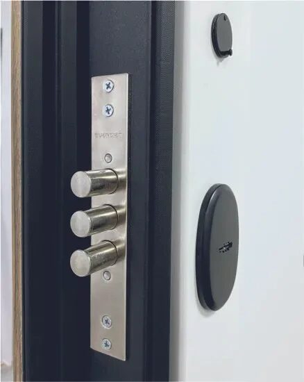 Дверь входная COMBI Band MAXI Mirror, VFD