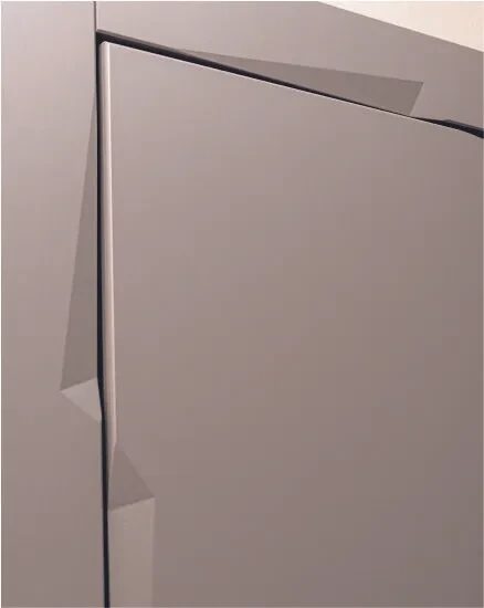 Дверь входная Concept Pulse MAXI Mirror, VFD