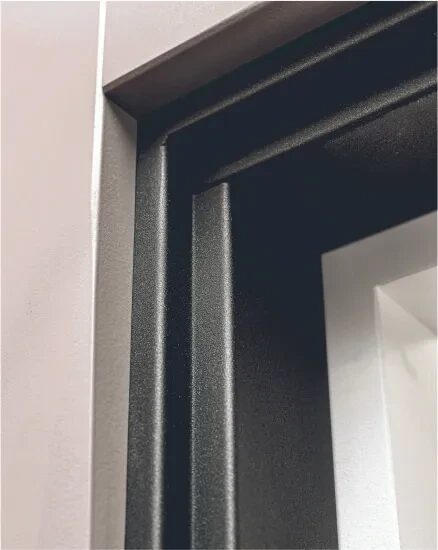 Дверь входная Concept Pulse MAXI Mirror, VFD