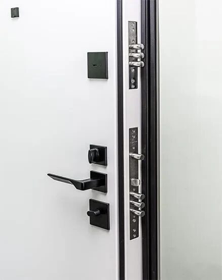 Дверь входная Concept Pulse MAXI Mirror, VFD