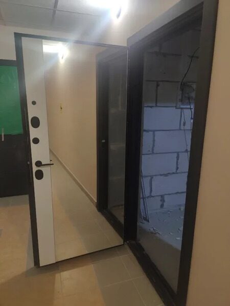 Дверь входная COMBI Band MAXI Mirror, VFD