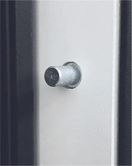 Дверь входная Concept Pulse MAXI Mirror, VFD